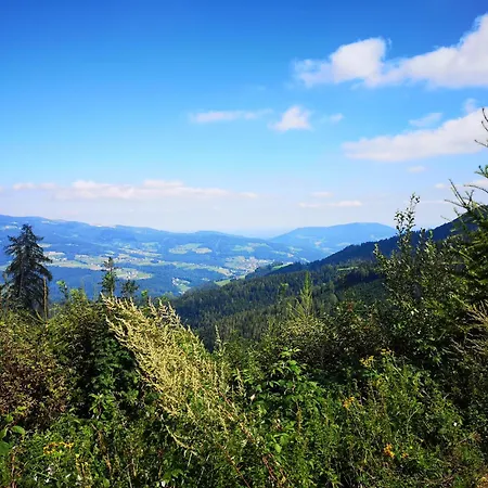 Kleinhofers Himbeernest 3* 安格