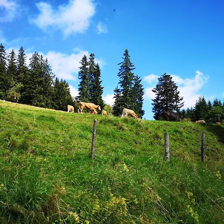 住宿加早餐酒店 Kleinhofers Himbeernest 3*