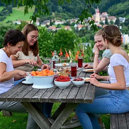 住宿加早餐酒店 Kleinhofers Himbeernest