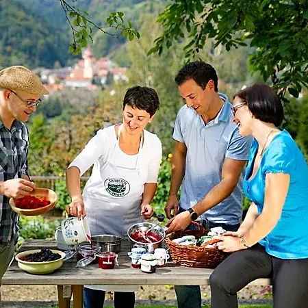 Kleinhofers Himbeernest 3*
