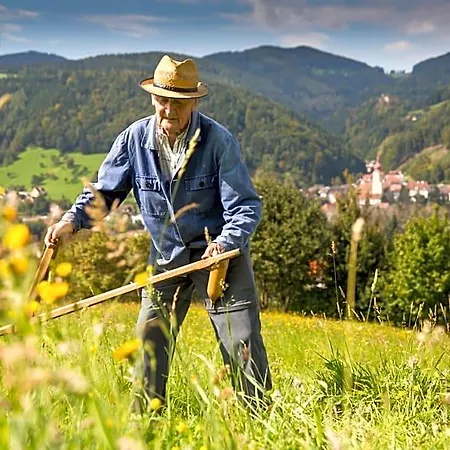 Kleinhofers Himbeernest 3* Anger (Weiz)