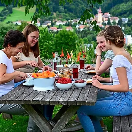 Kleinhofers Himbeernest Alojamento de Acomodação e Pequeno-almoço Anger (Weiz)