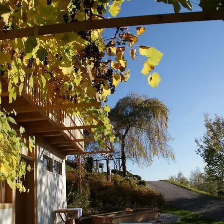 Kleinhofers Himbeernest 3* Anger (Weiz)