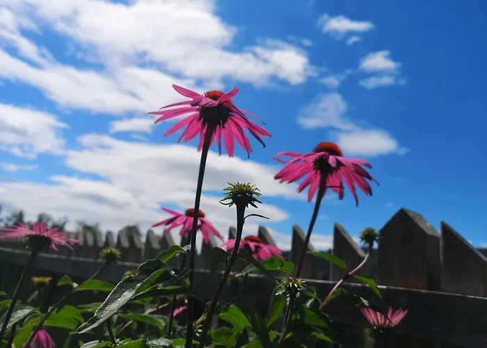 Kleinhofers Himbeernest 安格