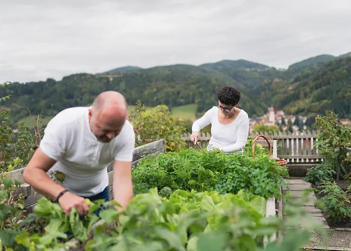 Kleinhofers Himbeernest 3* Anger (Weiz)