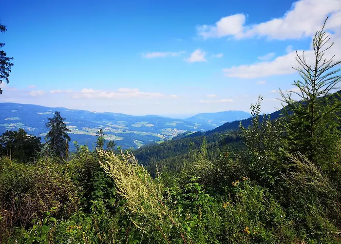 Kleinhofers Himbeernest 3* Anger (Weiz)