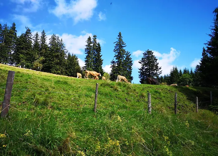 Bed & Breakfast Kleinhofers Himbeernest 3*