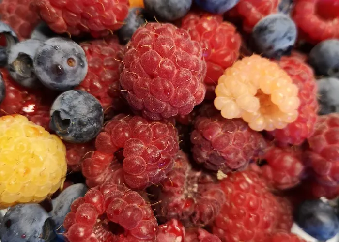 Kleinhofers Himbeernest 3*