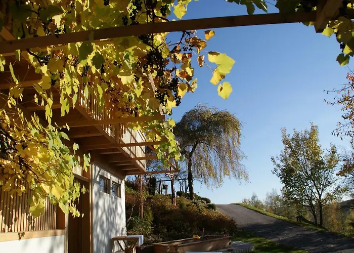 Kleinhofers Himbeernest 3* Anger (Weiz)