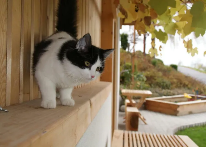 Kleinhofers Himbeernest 住宿加早餐酒店 安格