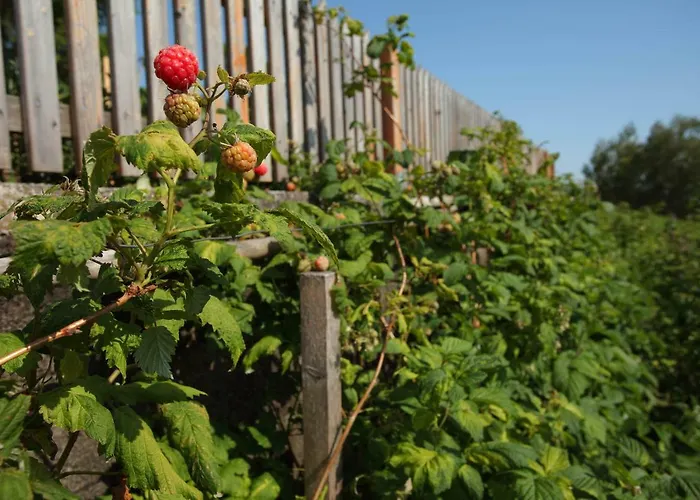 Kleinhofers Himbeernest Bed & Breakfast 3*