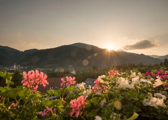 Bed & Breakfast Kleinhofers Himbeernest 3*